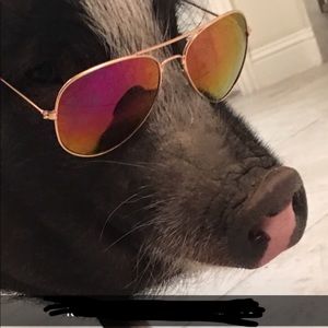 Meet your Posher, Jordan